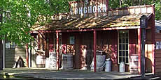 Williamston
