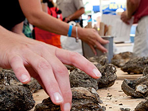 NC-Oyster-Festival-Shucking-Contest